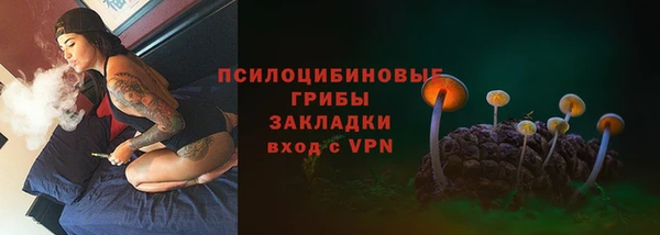 spice Алзамай